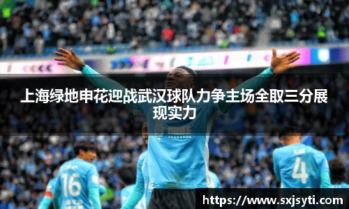 上海绿地申花迎战武汉球队力争主场全取三分展现实力